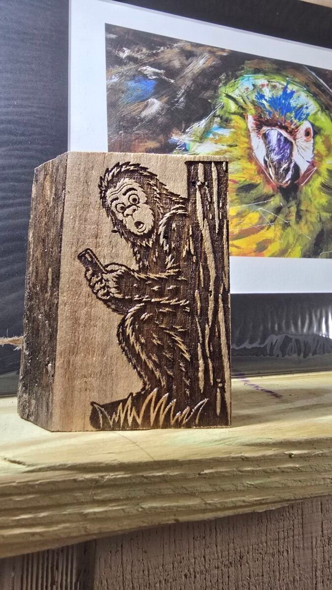 111111 The First Sasquatch Spot!